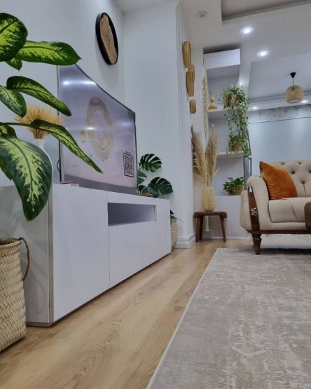 WhatsApp Image 2025-10-01 at 5.59.06 PM